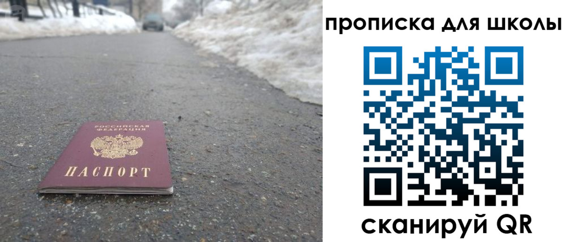 прописка для школы в Заречном